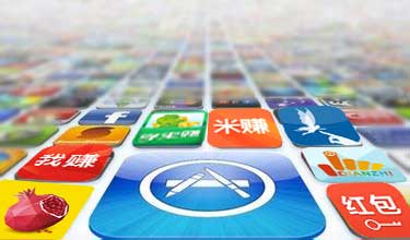 Apply for an electronic social security card on th